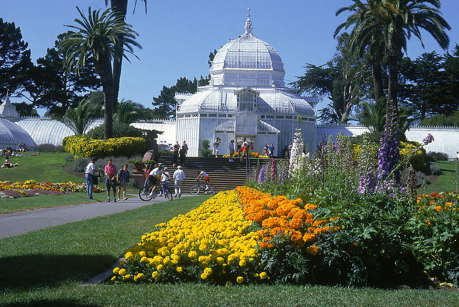 Golden Gate Park, Conservatory Photograph by Mark Gibson