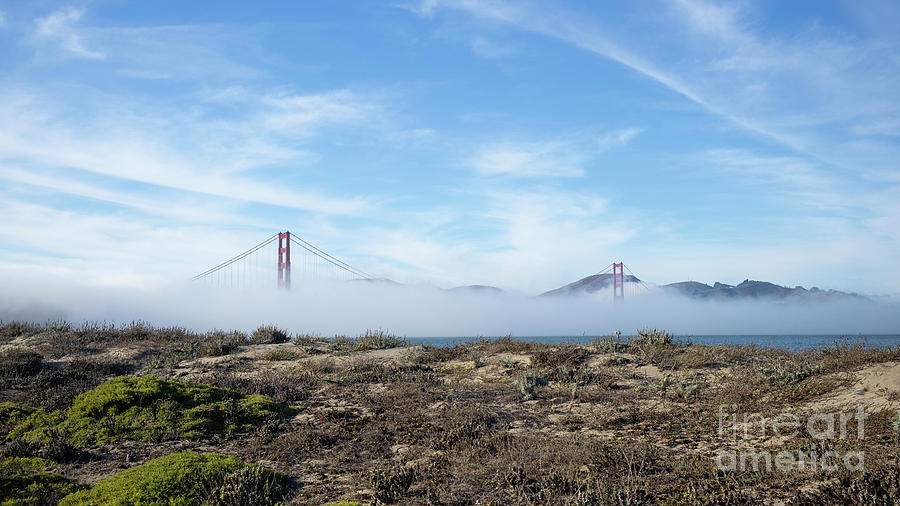 Golden Gate Rising from the Fog Photograph by Manuelas Camera Obscura
