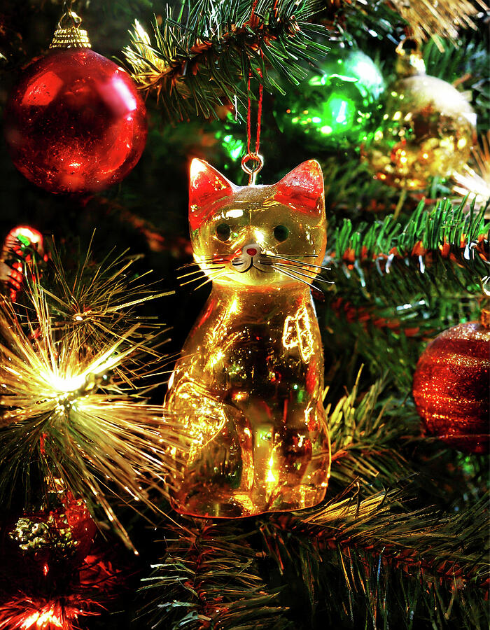 Golden Glass  Cat Christmas Ornament  1 Digital Art by David Smith