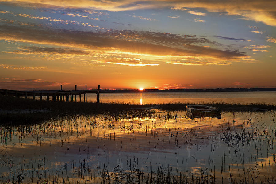 Golden Glow Photograph by Jody Merritt - Fine Art America