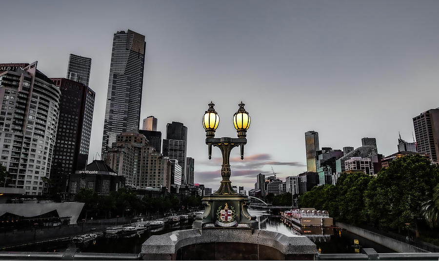 Melbourne Photograph - Golden Glow by Leigh Henningham Melbourne Photograph - Golden Glow by Leigh Henningham
