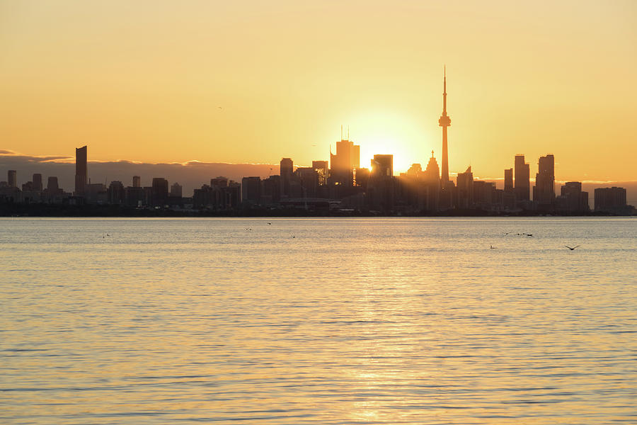 Golden Glow - Sun Rising Behind Toronto Skyline Photograph