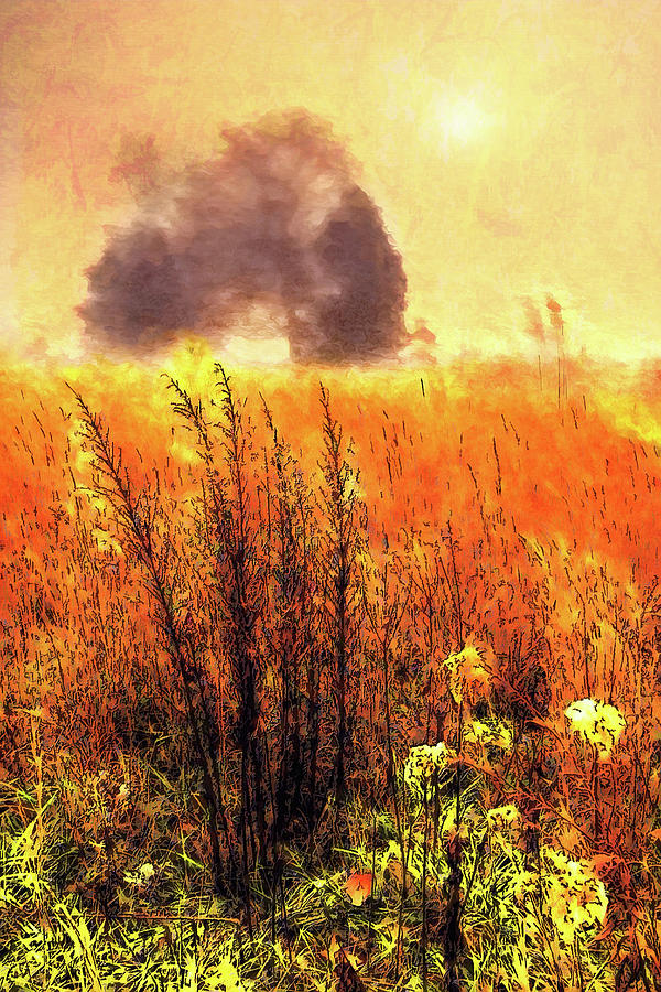 Golden Grasses ap Painting by Dan Carmichael