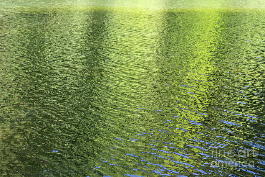 Golden-green reflection at the lake, abstract water surface Photograph by Adriana Mueller