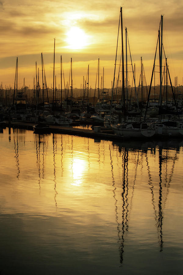 Golden Harbor 1 Photograph by Ryan Weddle