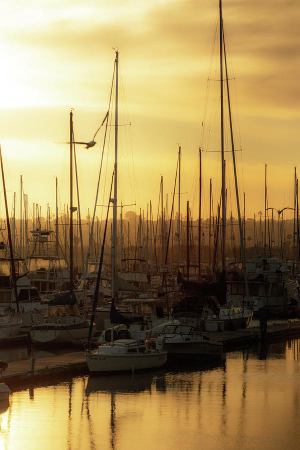 Golden Harbor 4 Photograph by Ryan Weddle