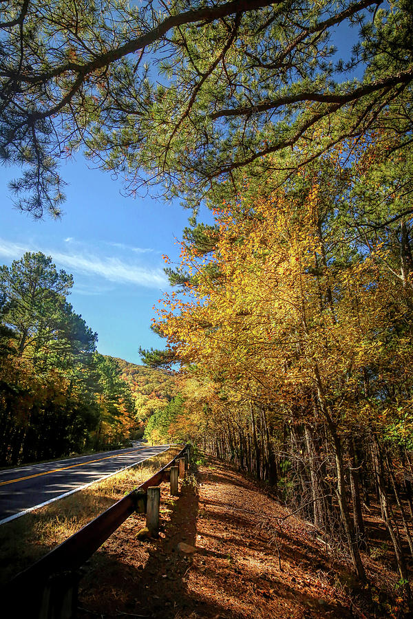 Golden Highway Vertical Talimena Scenic Drive Photograph by Judy ...