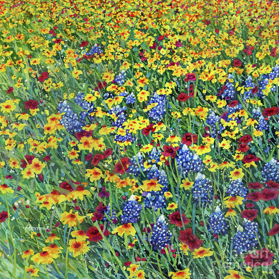 Golden Hillside - Bluebonnet And Coreopsis And Painting