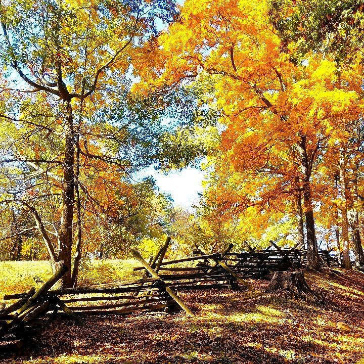 Gettysburg National Park Photograph - Golden Hillside in Autumn by Angela Davies