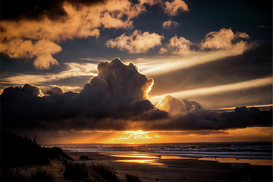 Golden Horizon Photograph by Bill Posner