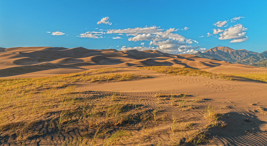 Golden Hour Dunes Photograph by Angelo Marcialis