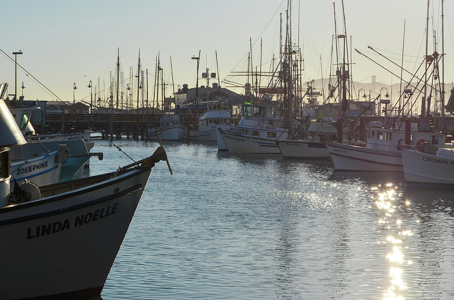 Golden Hour Fishing Boats at Pier 45 Fishermans Wharf San Francisco Photograph by Shawn OBrien