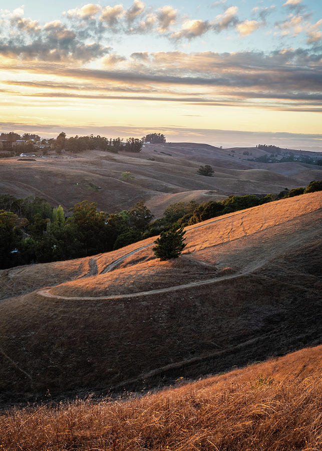 Golden Hour in Sonoma Hills Photograph by Eric DaBreo