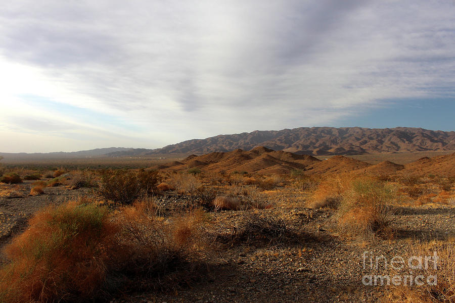 Golden Hour in the Desert Photograph by Katherine Erickson