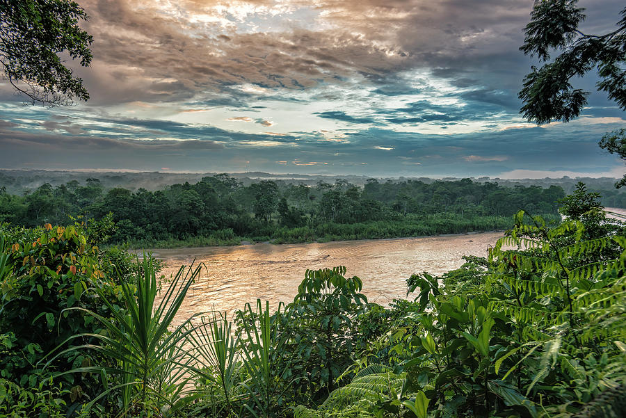 Golden hour on the Napo river Photograph by Henri Leduc