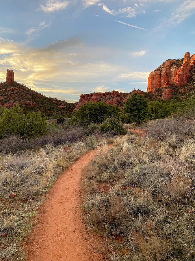 Golden Hour on the Red Rocks Photograph by Mark David Gerson