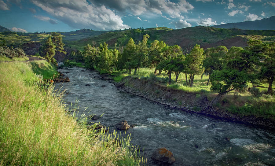 Golden Hour on the Yellowstone River Photograph by Marcy Wielfaert
