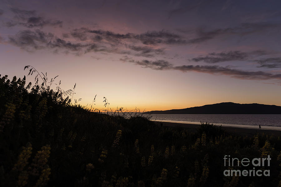 Sunset Photograph - Golden Hour on Waikanae Beach by Eva Lechner