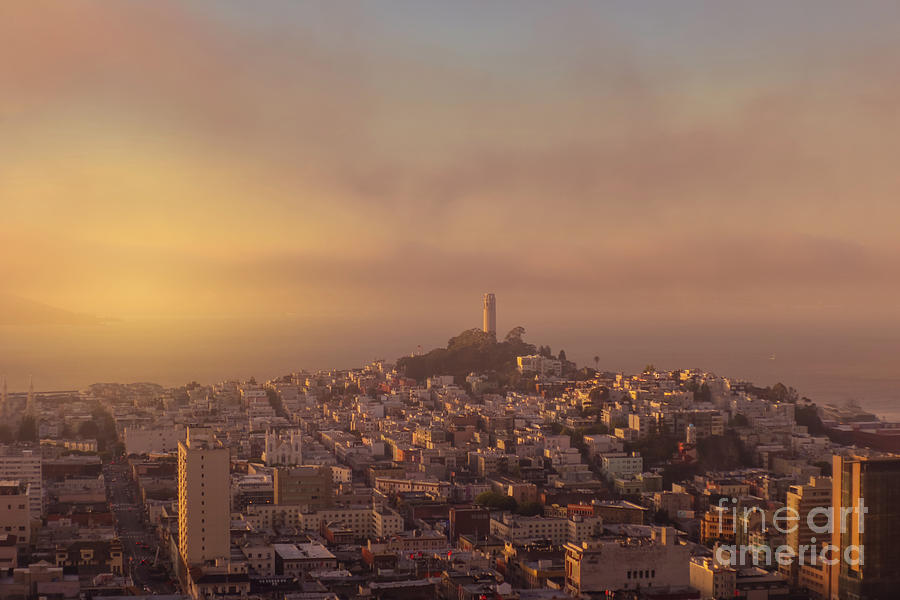 Golden hour over San Francisco Photograph by Claudia M Photography