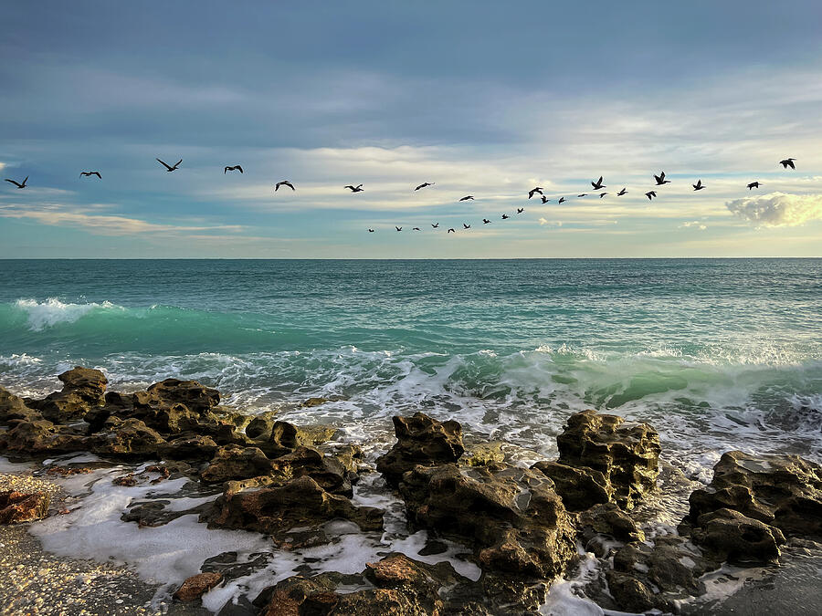 Golden-hour sky over turquoise ocean wave in Coral Cove, Florida Photograph by Dawna Moore Photography Golden-hour sky over turquoise ocean wave in Coral Cove, Florida Photograph by Dawna Moore Photography