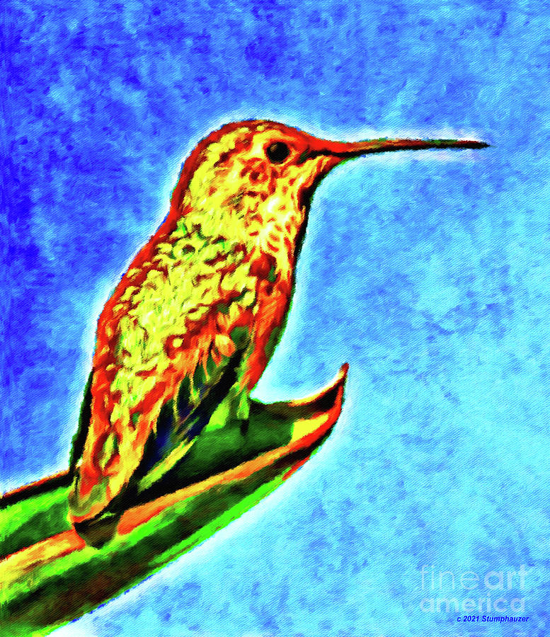 Golden Hummingbird Photograph