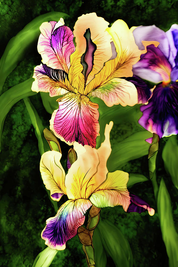Golden Iris flowers Mixed Media by Tatiana Travelways