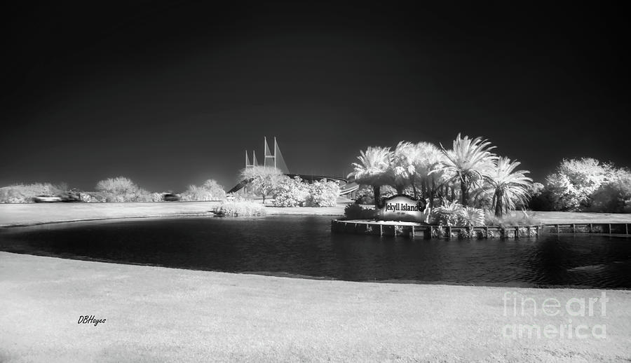 Golden Isles Iconic Landmarks in BnW Infrared Photograph by DB Hayes