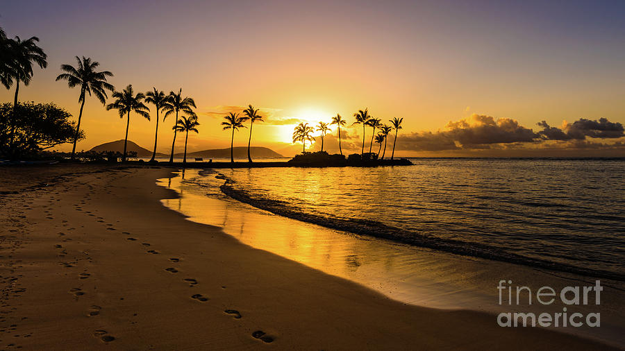 Beach Photograph - Golden Kahala Sunrise by Phillip Espinasse