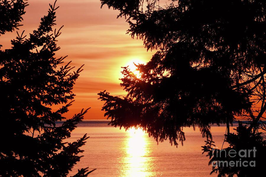 Golden Lake Superior Sunrise Photograph by Hella Buchheim