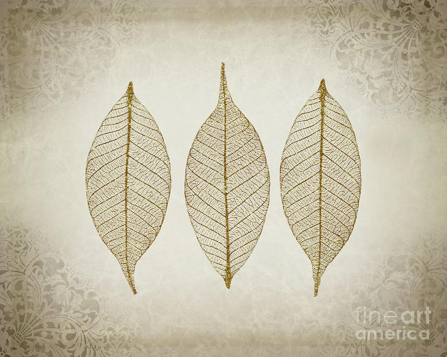 Golden leaves Photograph by Delphimages Photo Creations