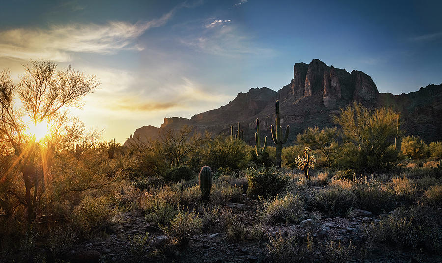 Golden Light Fills The Sonoran Photograph by Saija Lehtonen - Fine Art ...