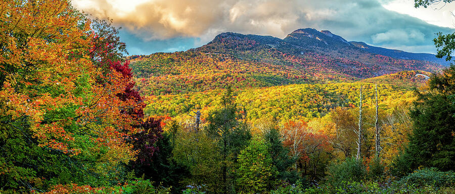 Golden Light On Grandfather Mountain Photograph by Mark Papke