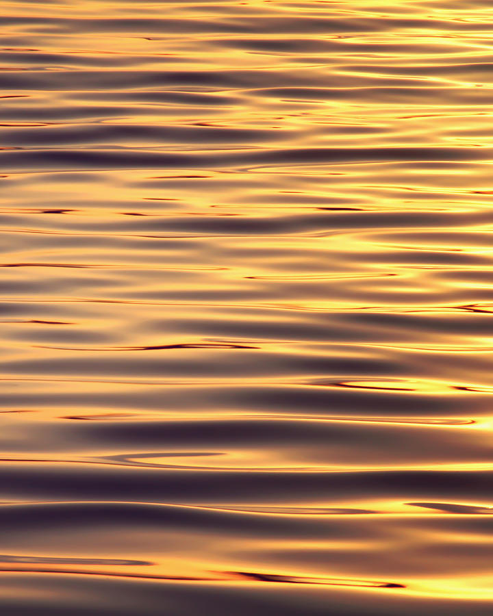 Golden Light Water Photograph