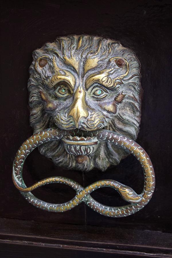 Golden Lion door knocker Photograph by Yvonne M Smith