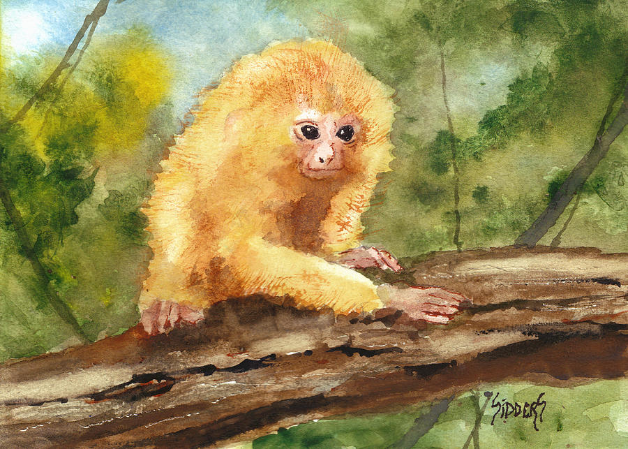 Golden Lion Marmoset Painting by Sam Sidders