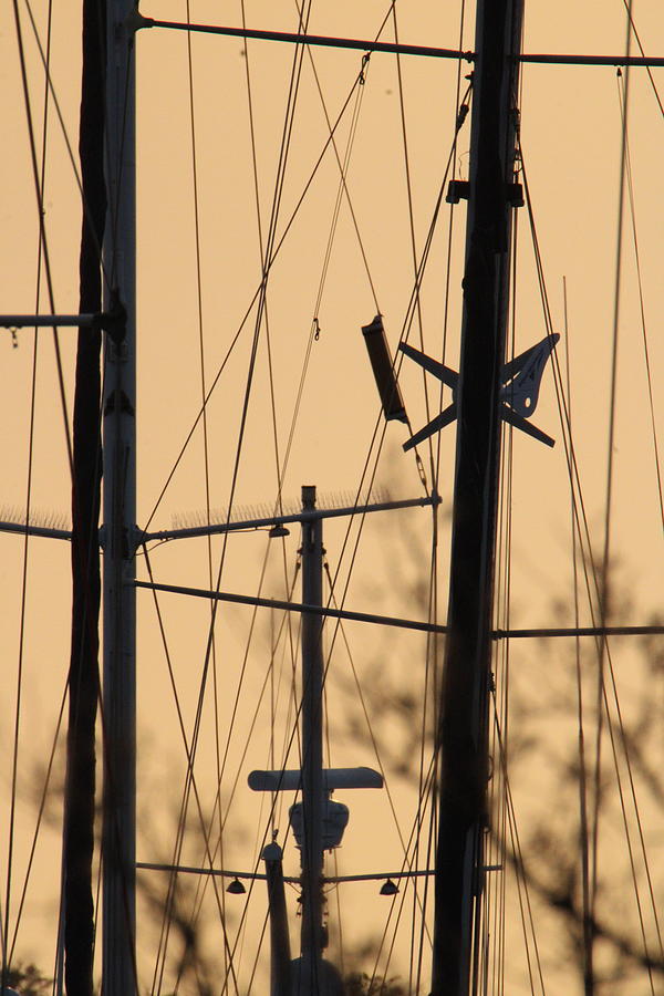 Golden Masts Photograph by Heather E Harman