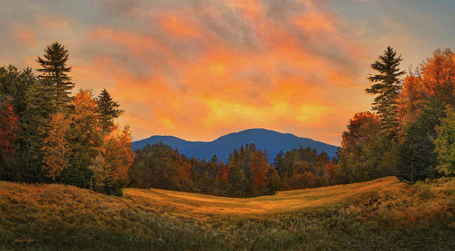Golden Meadows Sunset D Digital Art by Frank Wilson
