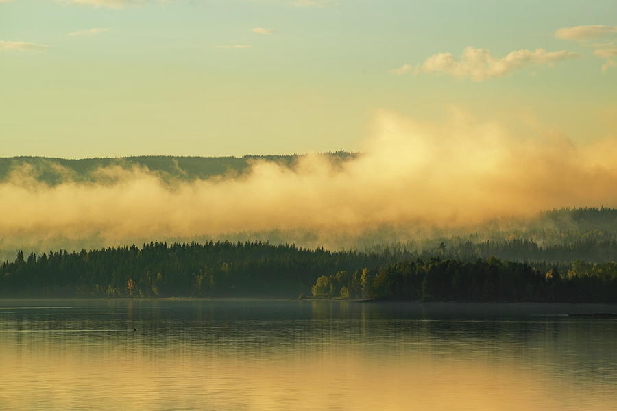 Golden mist is rising over the shore of a qiet forest lake Photograph by Ulrich Kunst And Bettina Scheidulin