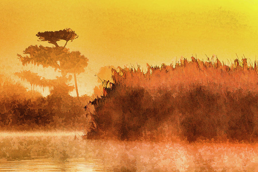 Golden Mist Photograph by Stefan Mazzola