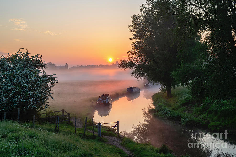 Golden Misty Sunrise Photograph by Tim Gainey
