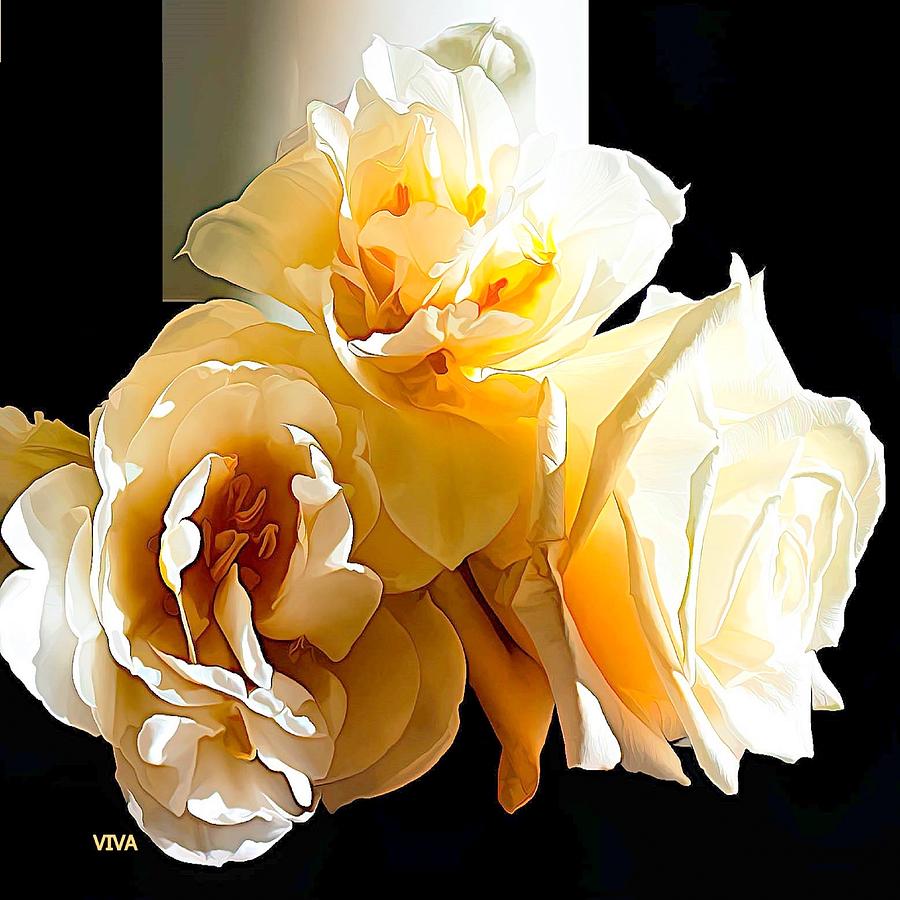 Golden  Moment  Rose Photograph by VIVA Anderson