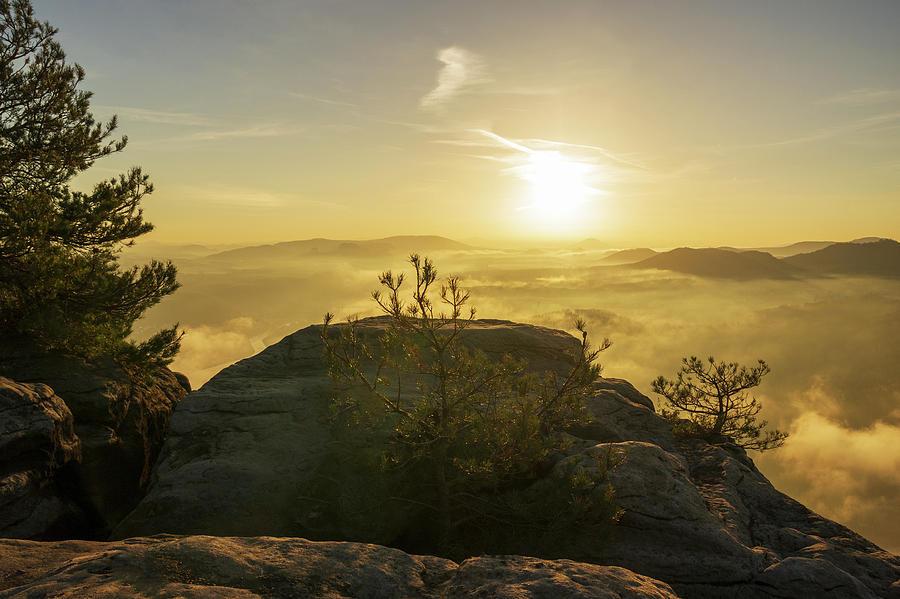 Golden morning on Lilienstein mountain Photograph by Sun Travels
