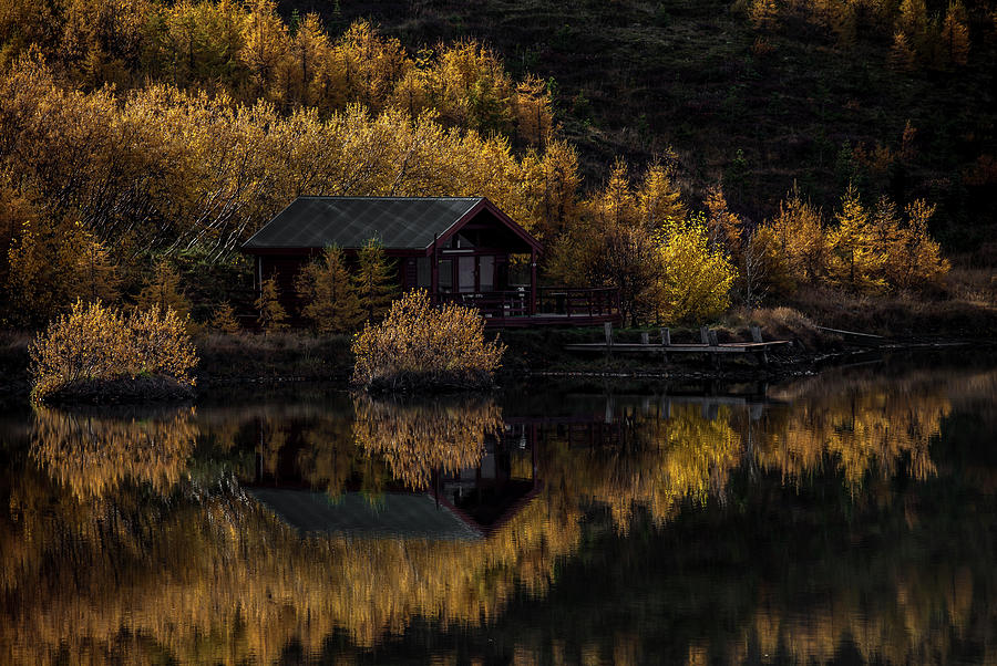 Fall Photograph - Golden Morning by Richard Zoeller
