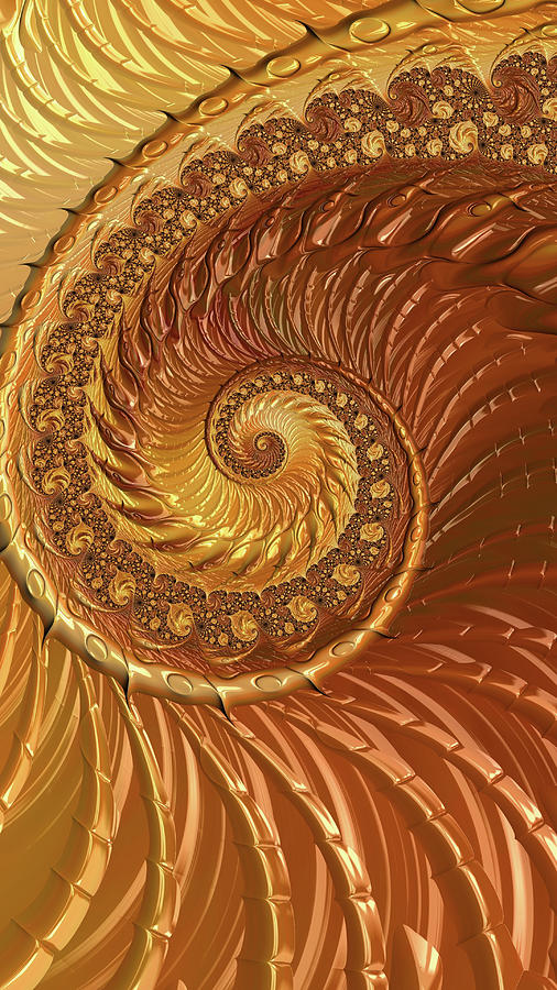 Golden Nautilus Shell Fractal Spiral  Digital Art by Shelli Fitzpatrick
