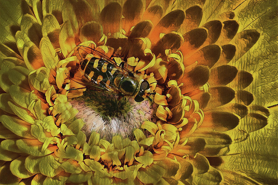 Golden nectar feast Photograph by Dennis Baswell