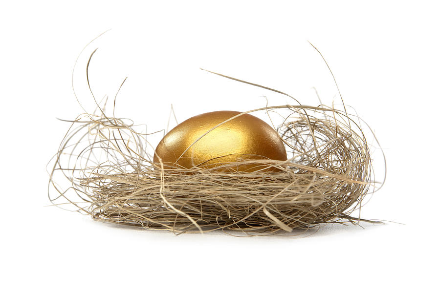Golden nest egg Photograph by TarpMagnus