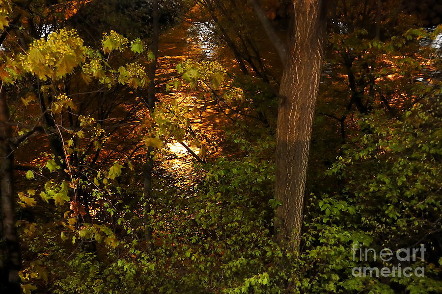 Golden Night Light On River Mur 1 Photograph