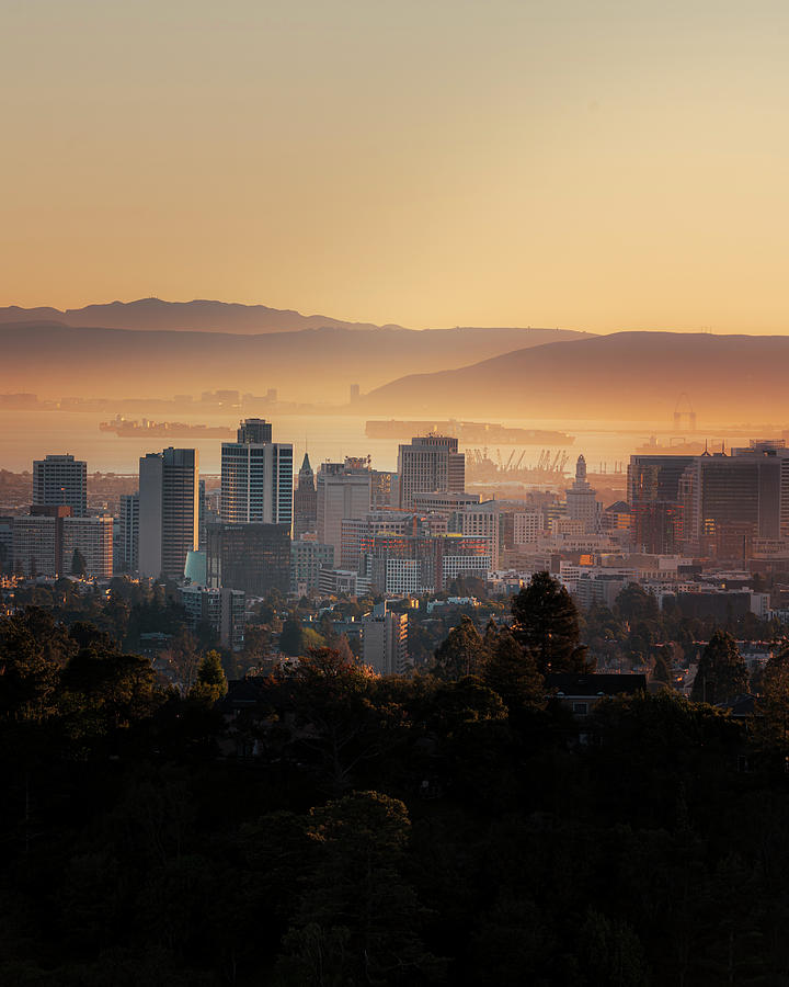 Golden Oakland Photograph by Hennything Visual - Pixels