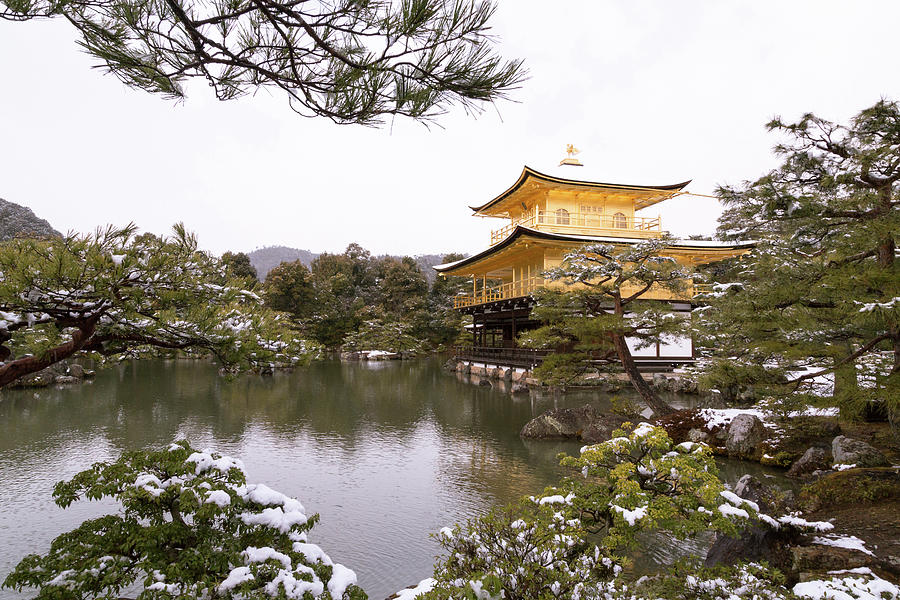 Golden Pavilion after the Snowfall Photograph by John Daly