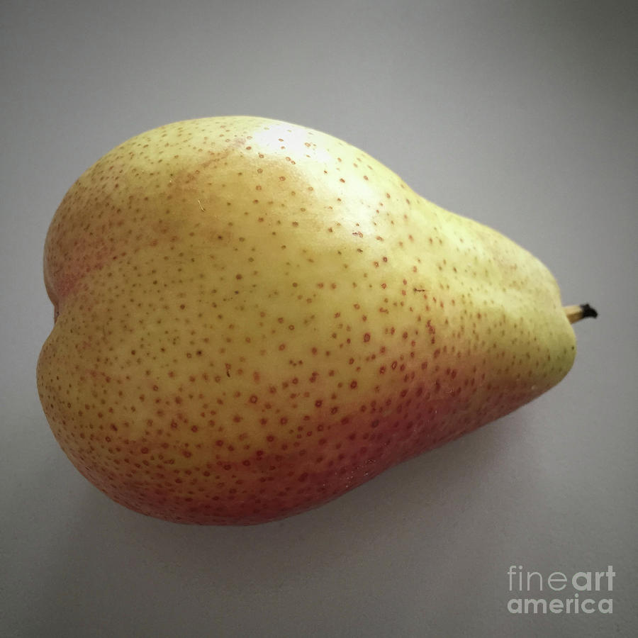 Golden Pear Photograph by Wendy Golden